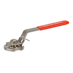 Meca-Inox lockable lever